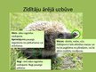 Prezentācija 'Zīdītāju sugu daudzveidības nozīme Latvijā', 6.