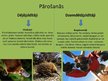 Prezentācija 'Zīdītāju sugu daudzveidības nozīme Latvijā', 8.