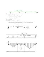 Paraugs 'Statiski nenoteicama rāmja aprēķins ar pārvietojumu metodi', 2.