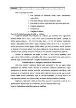 Referāts 'Jauna produkta ieviešana tirgū', 4.