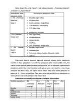 Referāts 'Jauna produkta ieviešana tirgū', 8.