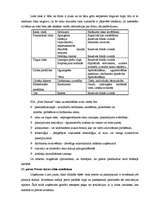 Referāts 'Jauna produkta ieviešana tirgū', 12.