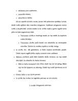 Referāts 'Atalgojums', 5.