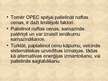 Prezentācija 'OPEC', 10.