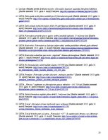 Referāts 'Fotoradaru politikas ieviešanas politika Latvijā', 23.