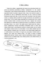 Referāts 'Finanšu riski', 11.