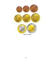 Referāts 'Eiro ieviešana', 20.