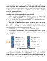 Referāts 'Eiro ieviešana', 24.