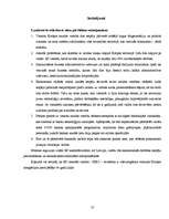 Referāts 'Eiro ieviešana', 27.