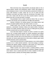 Referāts 'Narkotisko vielu lietošanas problēma un profilaktiskā darba iespējas skolā', 5.