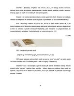 Referāts 'Narkotisko vielu lietošanas problēma un profilaktiskā darba iespējas skolā', 18.