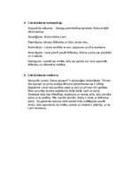 Eseja 'R. Blaumaņa noveles “Salna pavasarī” literārā darba analīze', 2.