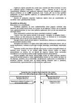 Referāts 'Riska faktori uzņēmējdarbības formu izvēlē', 2.