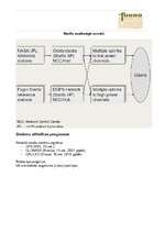 Referāts 'Reģionāla diferenciāla navigācijas apakšsistēma Starfix', 6.