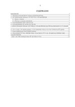 Prakses atskaite 'Компания OOO "Tilia-A"', 2.