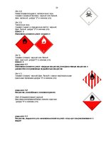 Prakses atskaite 'Компания OOO "Tilia-A"', 28.