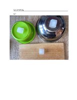 Konspekts 'Ledus kušana', 3.