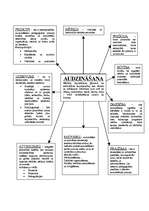 Konspekts 'Audzināšana', 1.