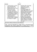 Biznesa plāns 'Rūķi dodas pie Latgales bērniem', 6.