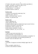 Biznesa plāns 'Rūķi dodas pie Latgales bērniem', 12.