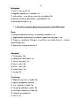 Biznesa plāns 'Rūķi dodas pie Latgales bērniem', 13.