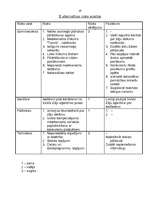 Biznesa plāns 'Rūķi dodas pie Latgales bērniem', 19.