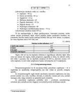 Referāts 'Konkurētspējas paaugstināšanas projekts', 17.