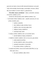 Konspekts 'Pasaules ekonomikas vēstures pētīšanas priekšmets un periodizācija', 5.