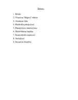 Konspekts 'Viesnīcas "Jelgava" analīze', 2.