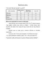 Konspekts 'Viesnīcas "Jelgava" analīze', 8.