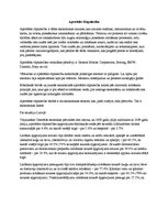 Eseja 'Apstrādes rūpniecība', 1.