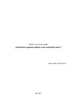 Referāts 'Vidusskolēnu augstākās izglītības izvēles ietekmējošie faktori', 1.
