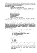 Referāts 'Rotaļas līdz 2 gadu vecumam', 5.