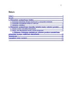 Referāts 'Pasakas izmantošana pilsoniskās apziņas veidošanā sākumskolā', 2.