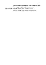 Referāts 'Pasakas izmantošana pilsoniskās apziņas veidošanā sākumskolā', 5.