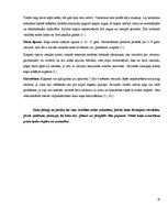 Referāts 'Mājdzīvnieku fizioloģija - anatomija un uzturēšanas noteikumi', 6.