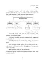 Diplomdarbs 'Iztēle, tās attīstība pamatskolas vecuma skolēniem', 15.