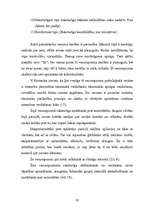 Diplomdarbs 'Iztēle, tās attīstība pamatskolas vecuma skolēniem', 30.