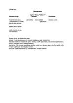 Biznesa plāns 'SIA „Vīnkalni”', 8.