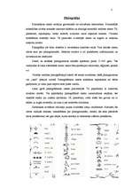 Referāts 'Rakstības vēsture', 15.