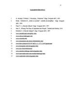 Referāts 'Rakstības vēsture', 29.