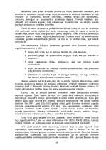 Referāts 'Investīcijas un to ietekme uz Latvijas iekšzemes kopproduktu', 19.