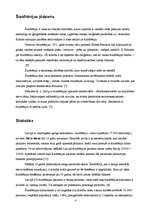 Referāts 'Šizofrēnija', 4.