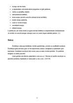 Referāts 'Šizofrēnija', 11.