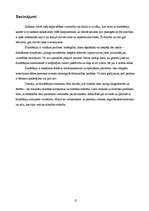 Referāts 'Šizofrēnija', 12.