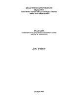 Referāts 'Datu drošība', 1.