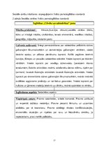 Referāts 'Tiesību un pienākumu izpratnes veicināšana sociālajās zinībās 4.klasē ar heirist', 17.