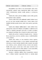 Referāts 'Tiesību un pienākumu izpratnes veicināšana sociālajās zinībās 4.klasē ar heirist', 36.