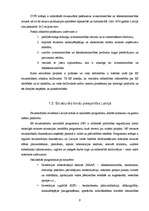 Referāts 'Struktūrfondu darbība Latvijā no 2004.g. - 2006.gadam', 9.