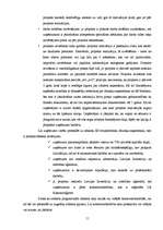 Referāts 'Struktūrfondu darbība Latvijā no 2004.g. - 2006.gadam', 11.